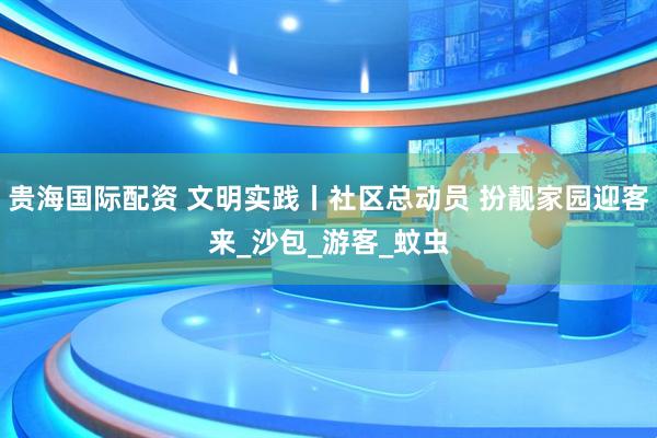 贵海国际配资 文明实践丨社区总动员 扮靓家园迎客来_沙包_游客_蚊虫