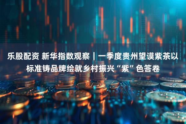 乐股配资 新华指数观察｜一季度贵州望谟紫茶以标准铸品牌绘就乡村振兴“紫”色答卷